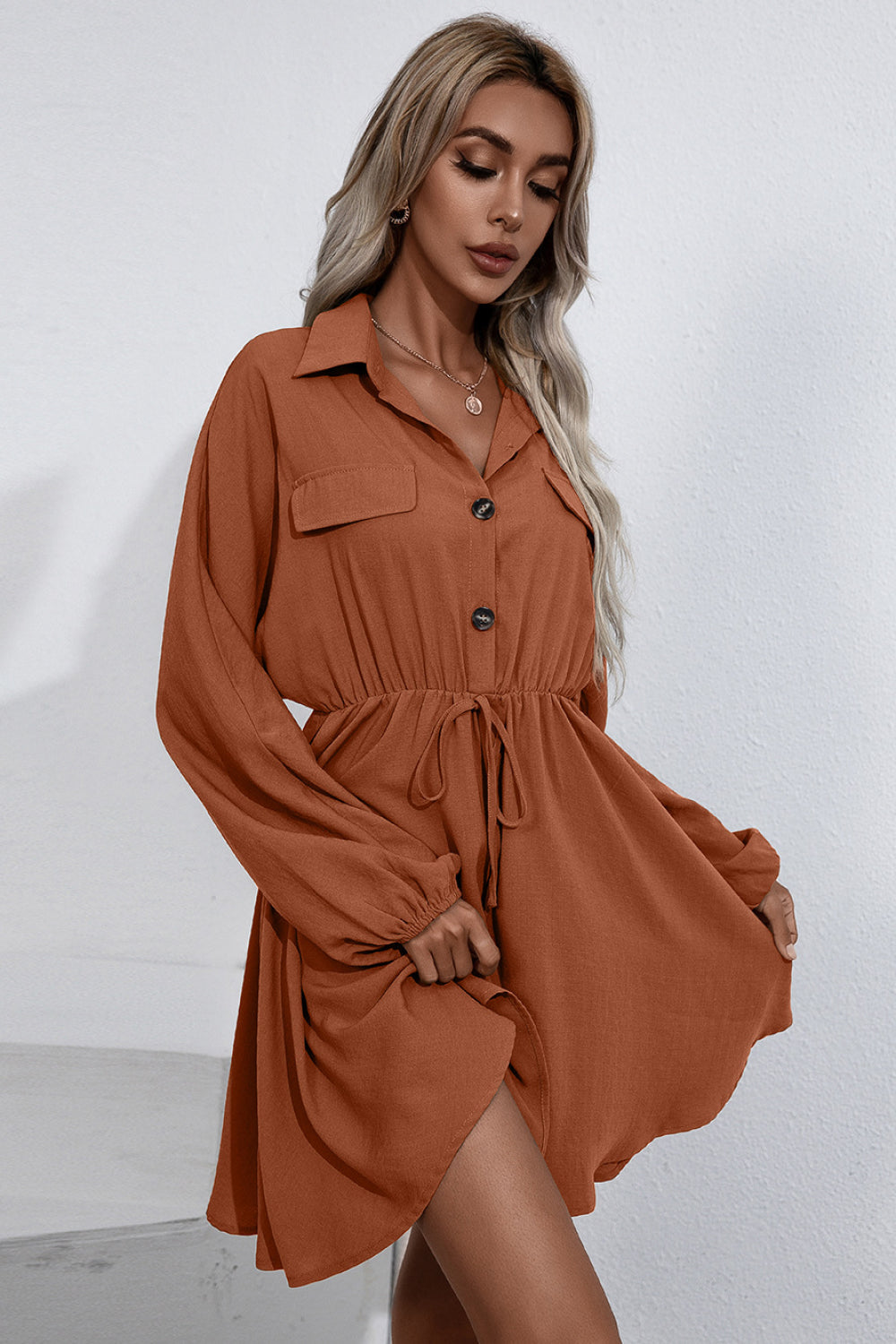 Collared Tie Waist Button Up Shirt Dress